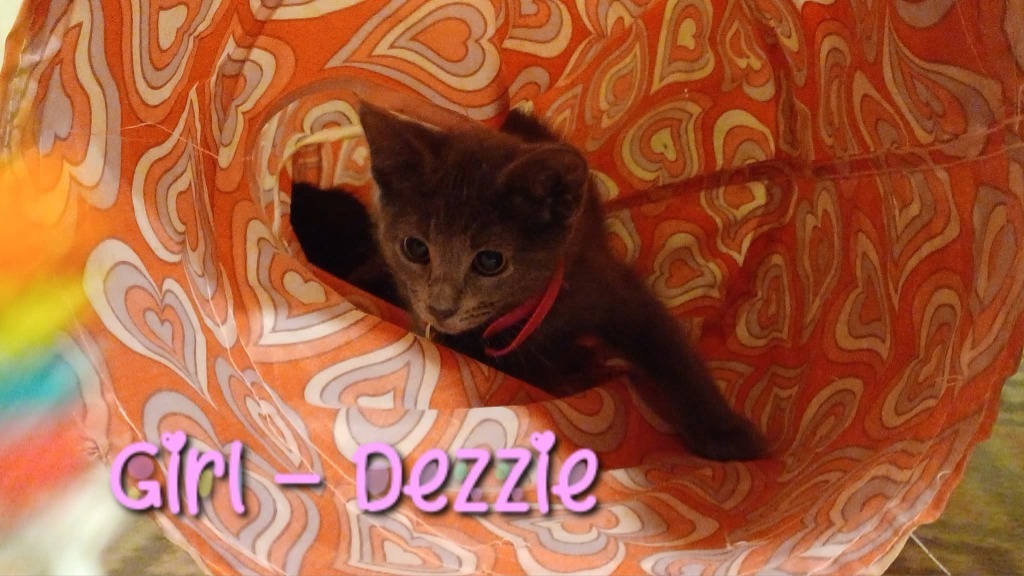 Dezzie