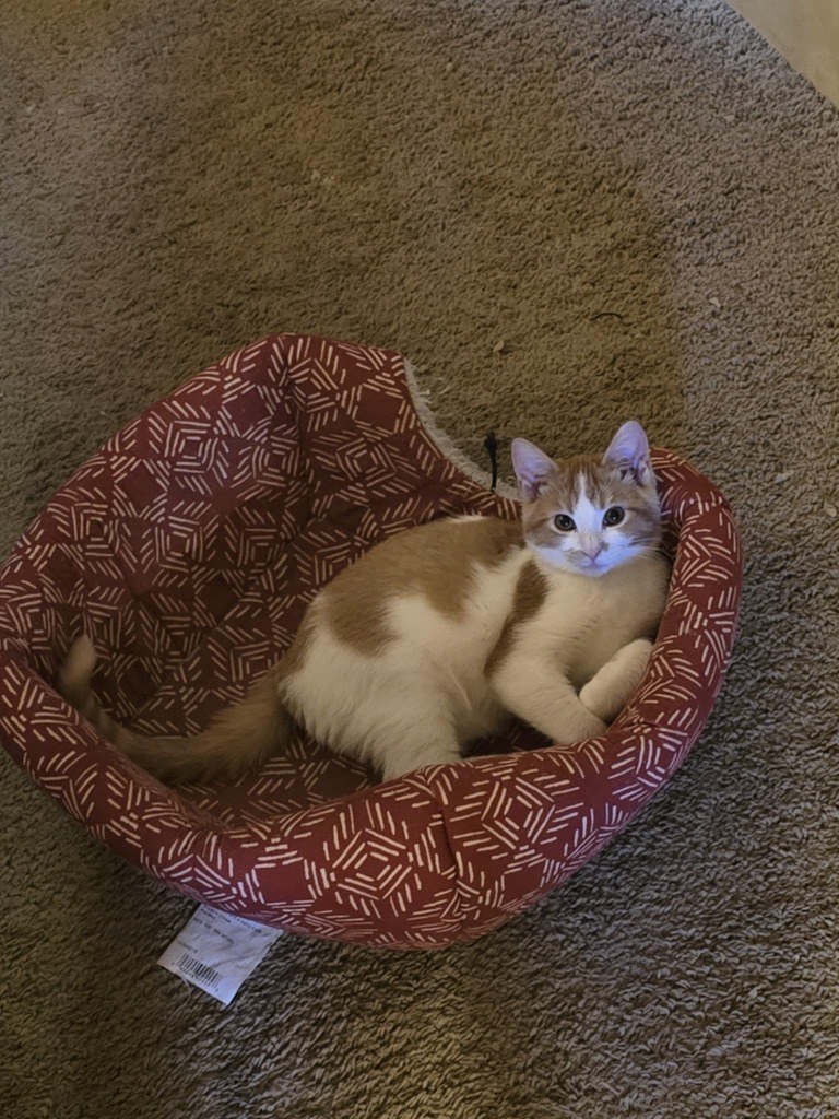 Alex
