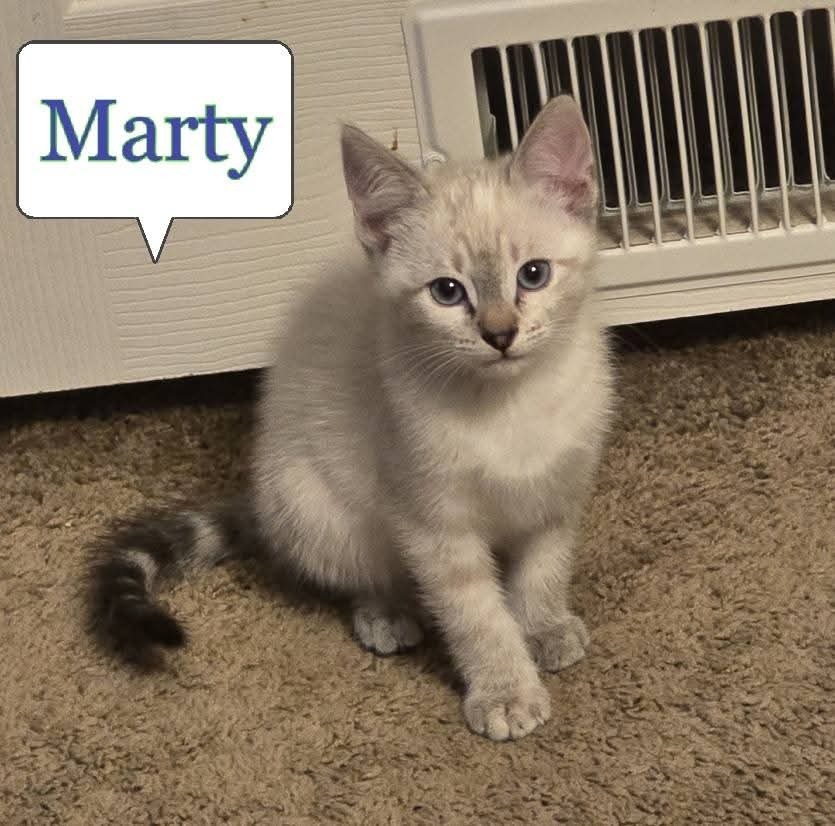 Marty