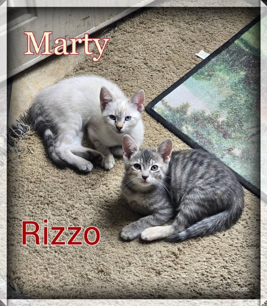 Rizzo