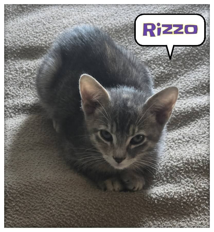 Rizzo