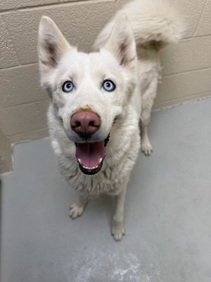 Photo of Elsa