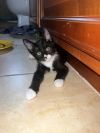 Bernie photo 3