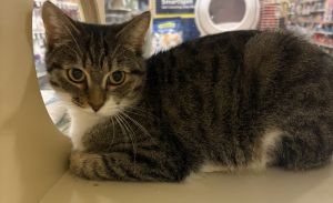 Boo Bear, Young Female unknown