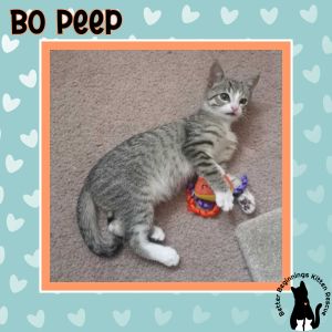 Bo Peep, Baby Female unknown