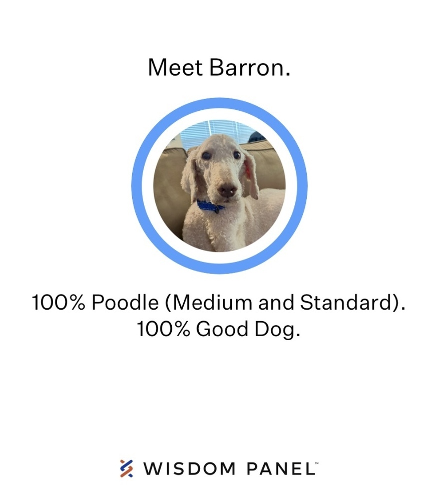 Baron