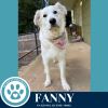 Fanny 062125