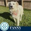 Fanny 062125