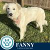 Fanny 062125