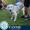 Fanny 062125