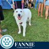 Fanny 062125
