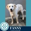 Fanny 062125