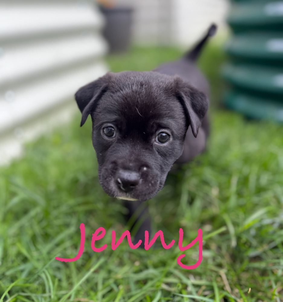 Jenny (Available 07/07)