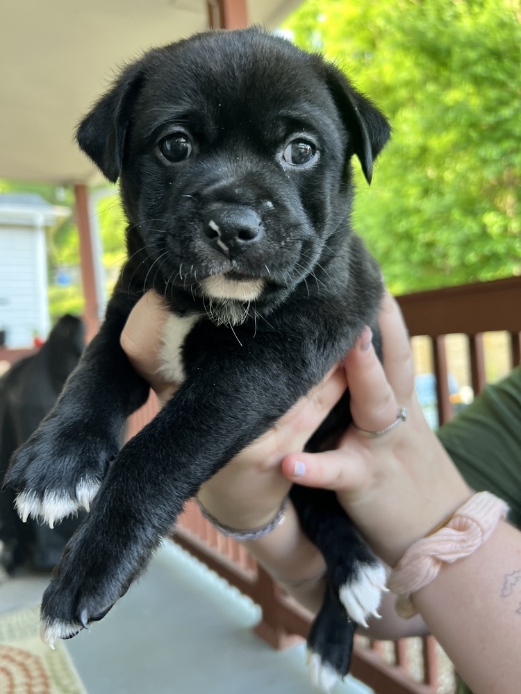Jenny (Available 07/07)