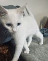 Yuki photo 1