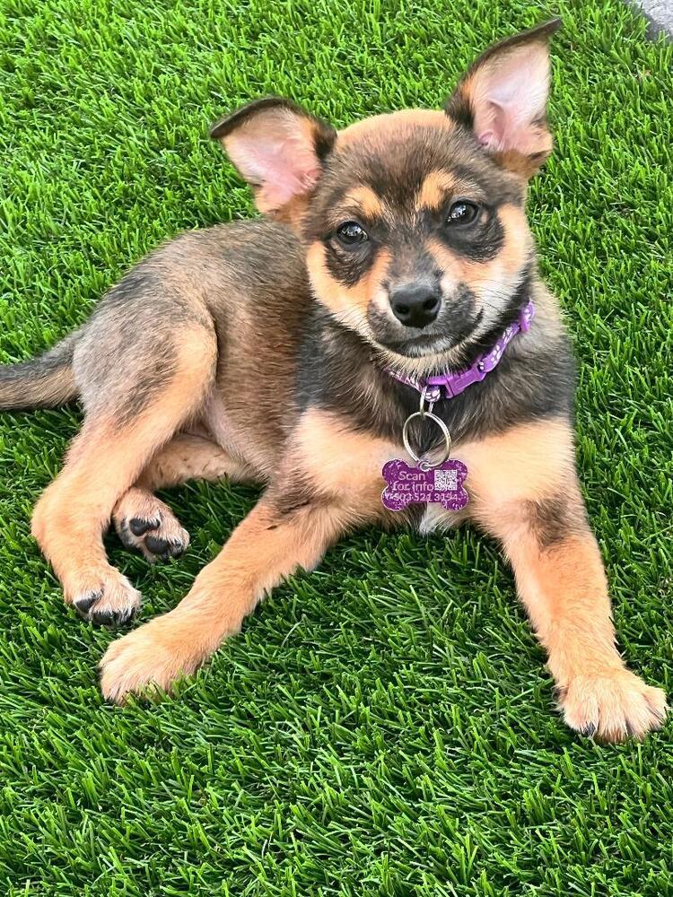 IZZIE