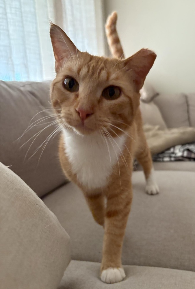 Sonny