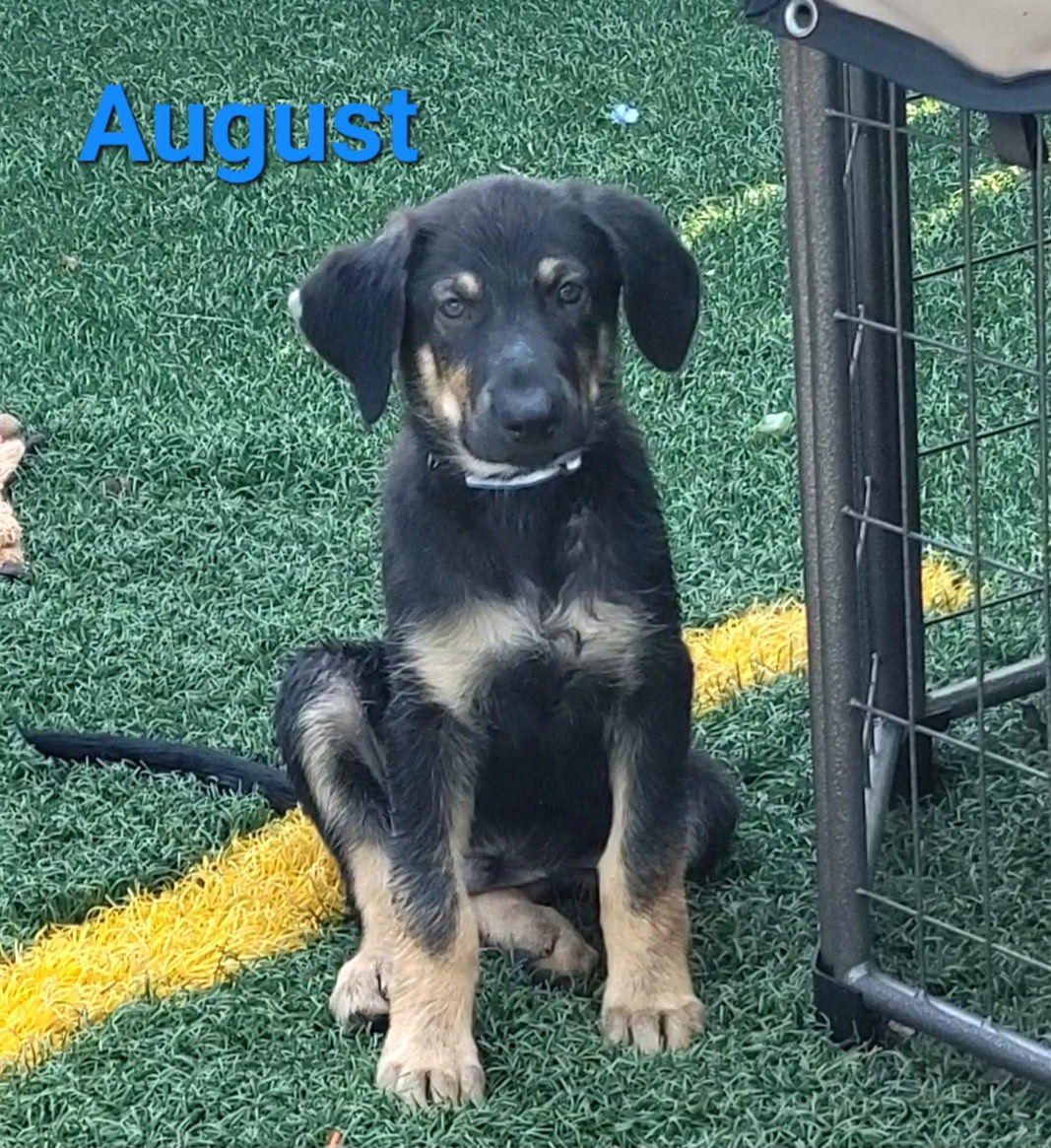 August