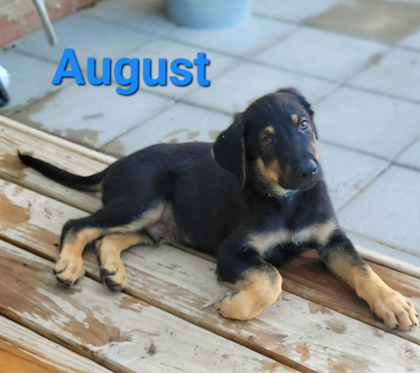 August