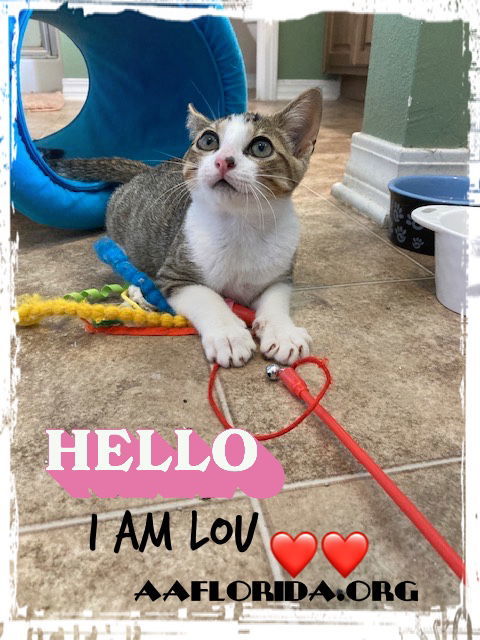 Lou