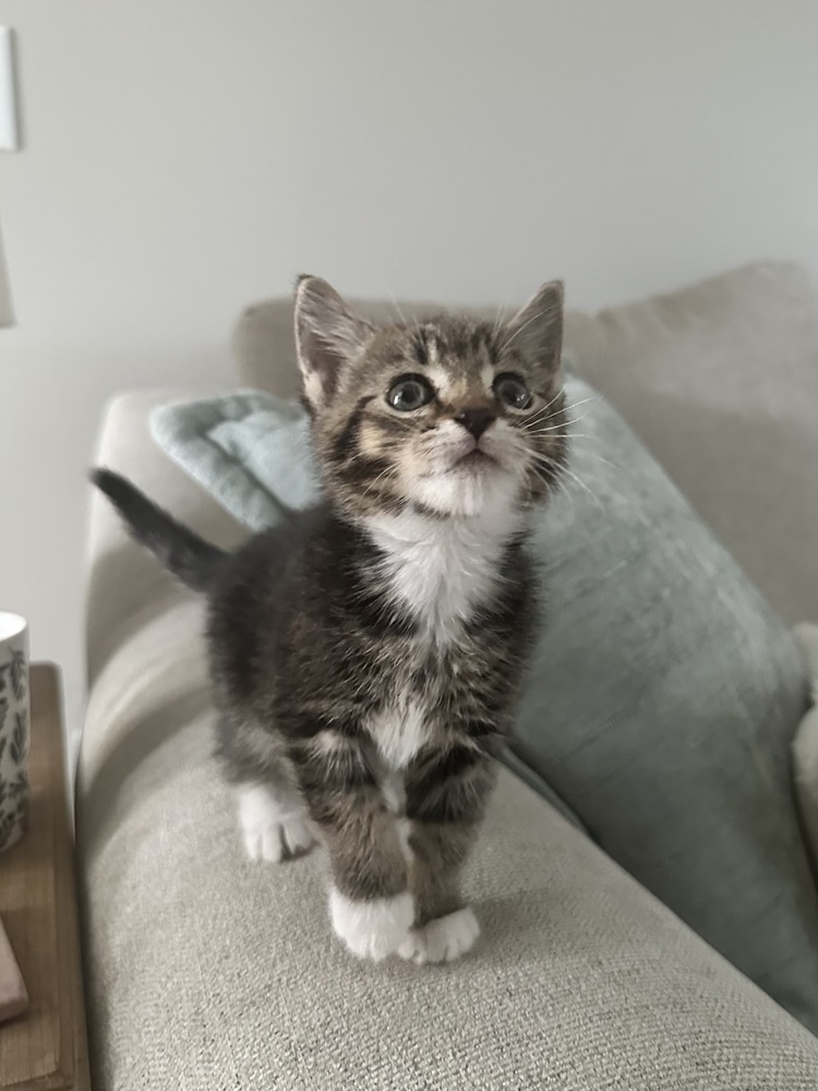MONEYPENNY Penny -