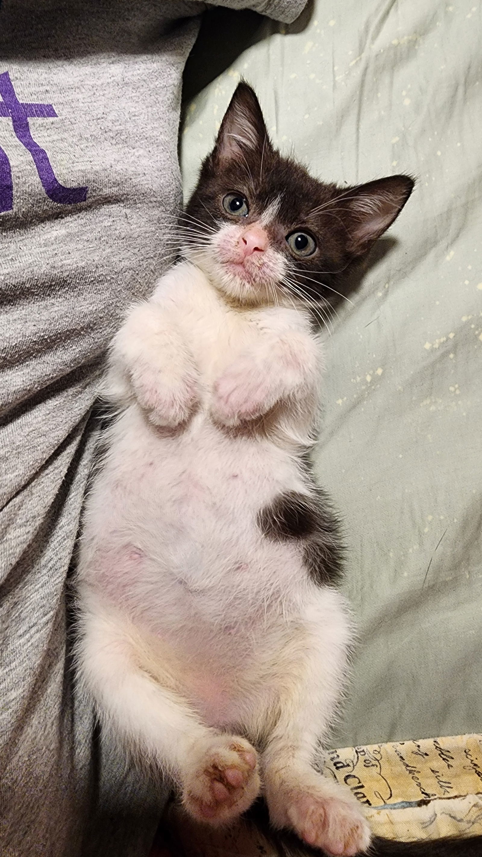 Luna