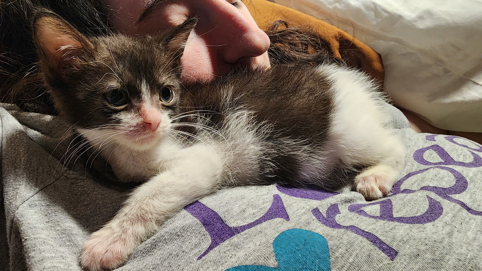 Luna