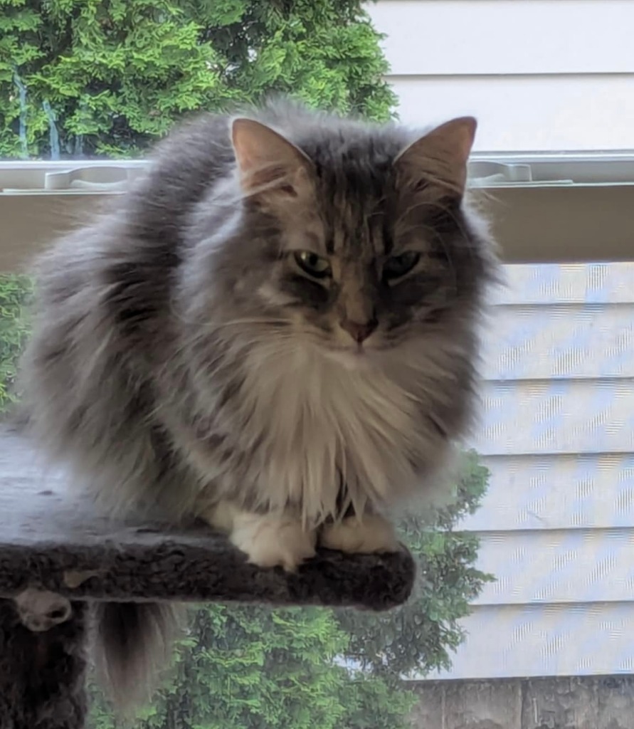 Miss Sassy