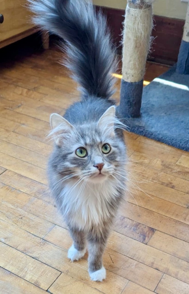 Miss Sassy