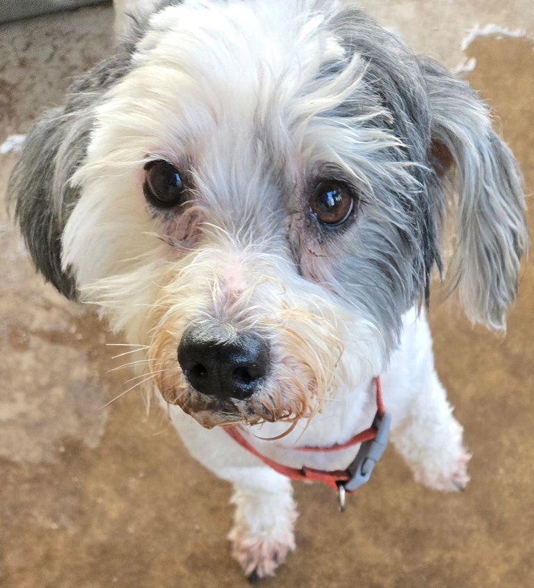 Ernie