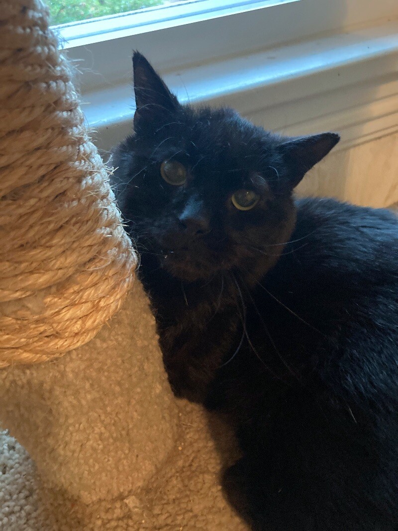 Benny