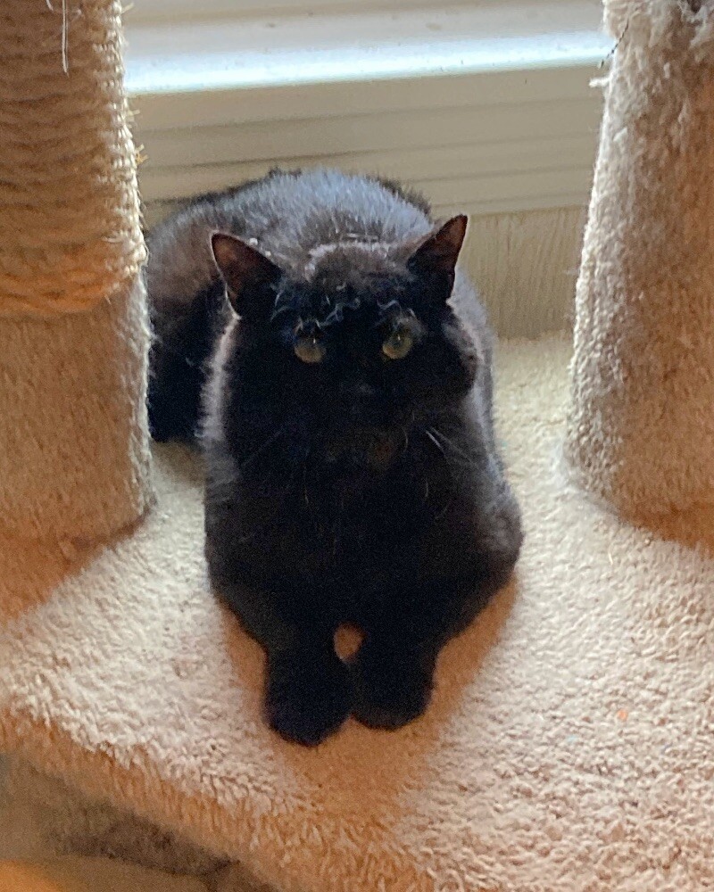 Benny