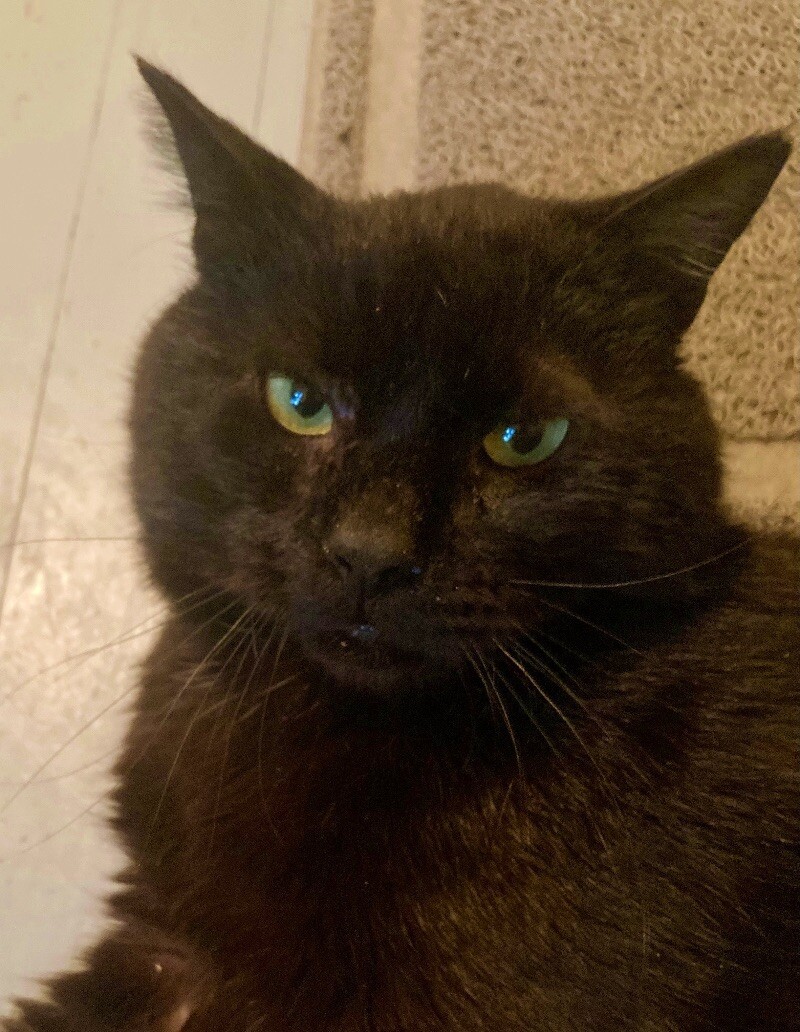 Benny
