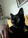 Boris photo 2
