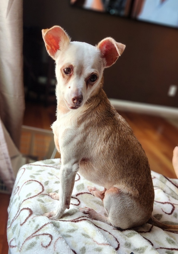 Coco