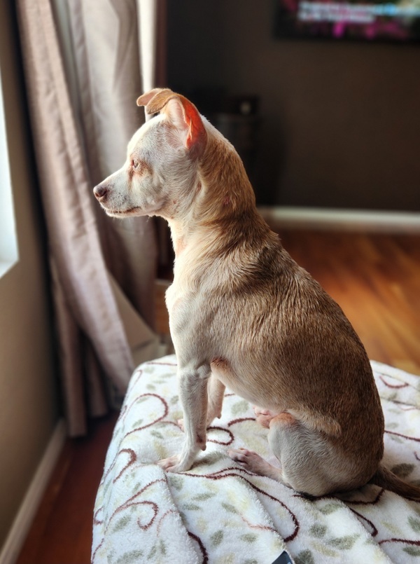 Coco