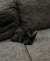 Gigi photo 6