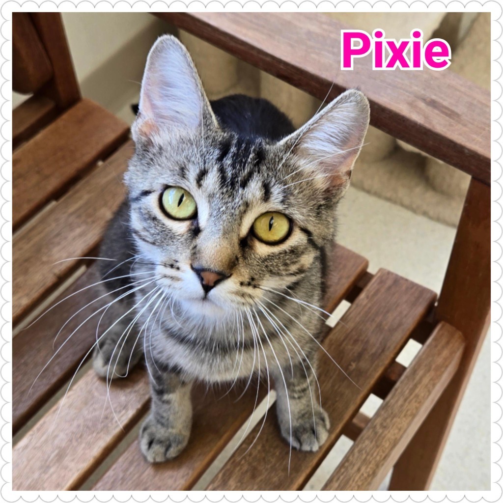 Pixie