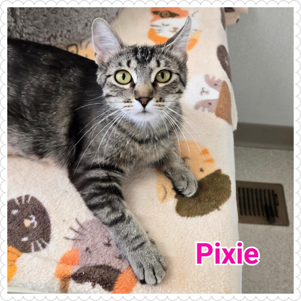 Pixie