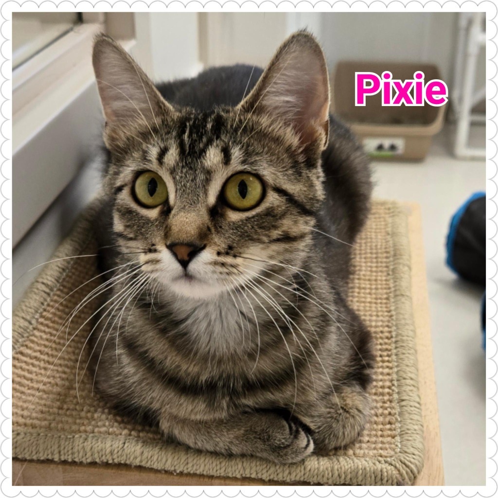 Pixie