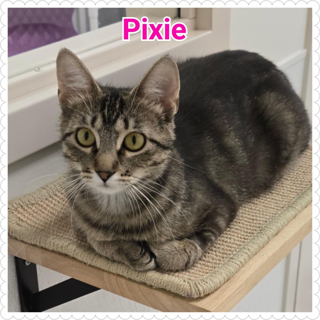 Pixie