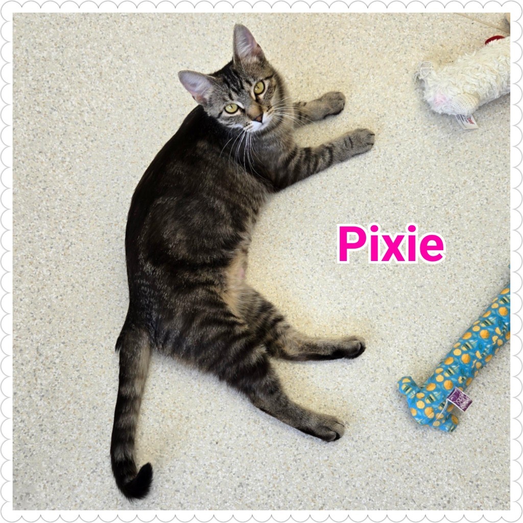 Pixie