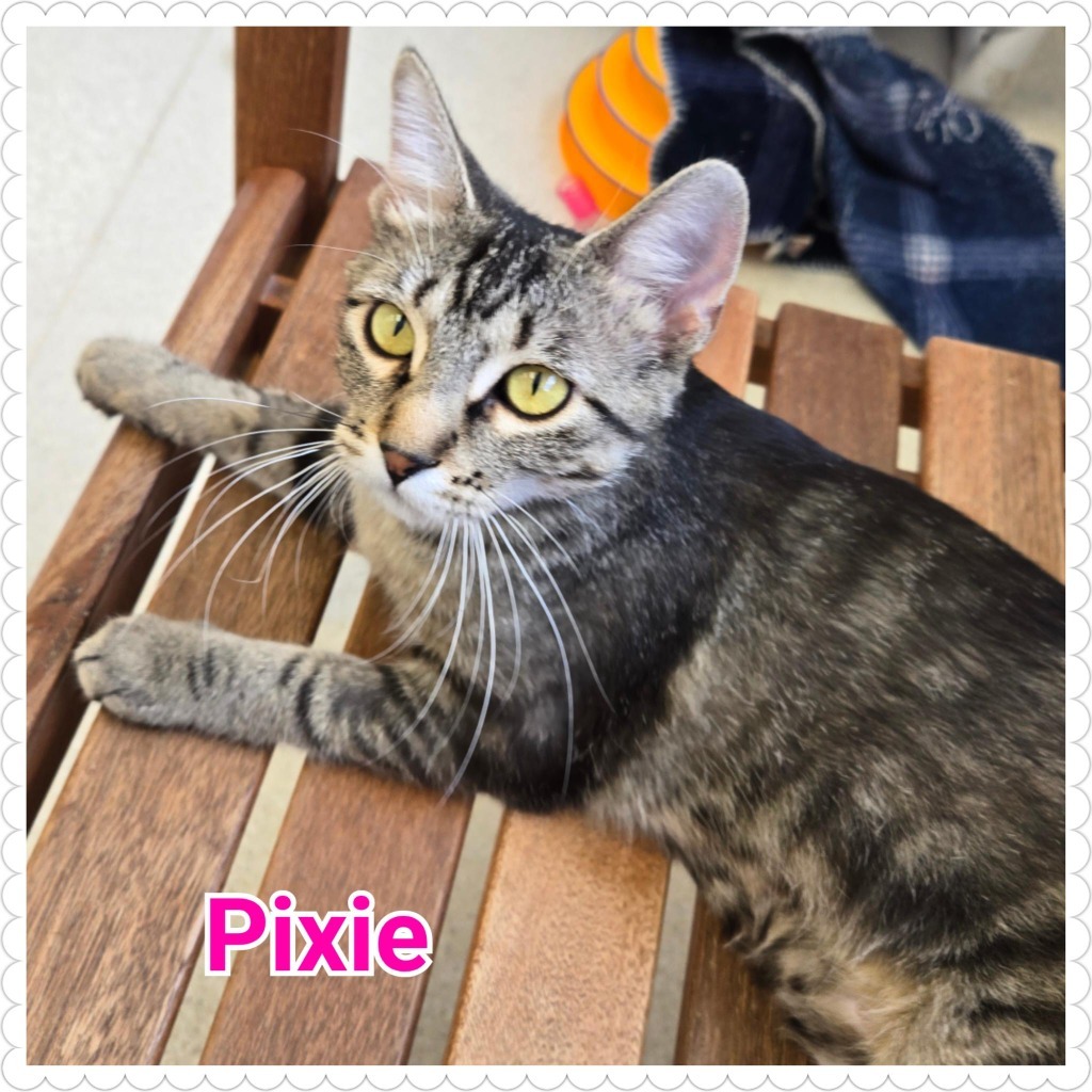 Pixie