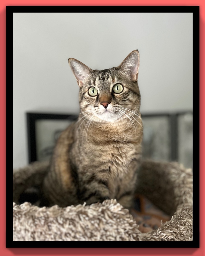 Lulu
