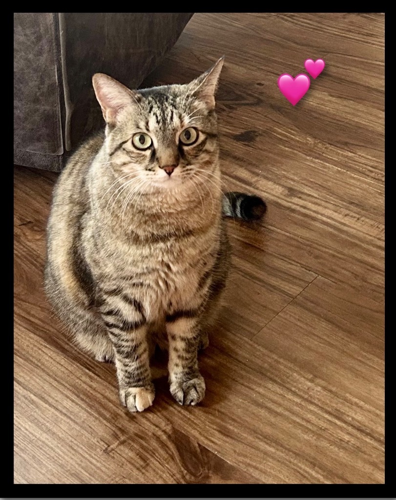 Lulu