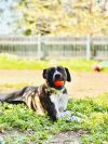 Daisy photo 2