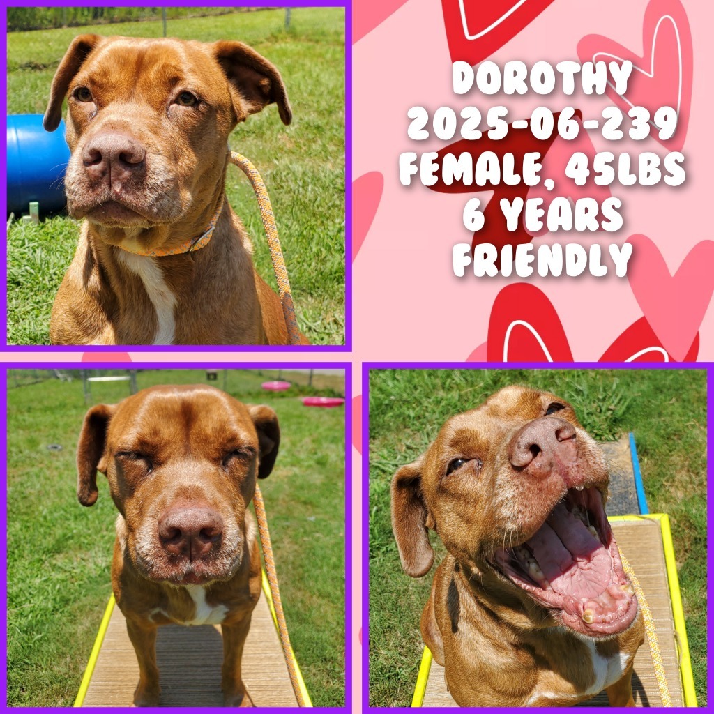 2025-06-239 *Dorothy*