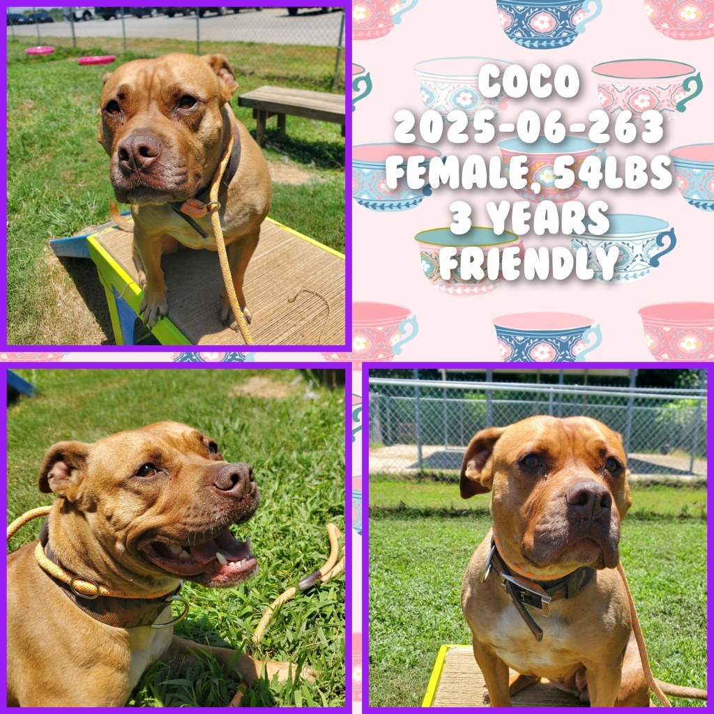 2025-06-263 &#34;Coco