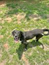Enzo photo 3