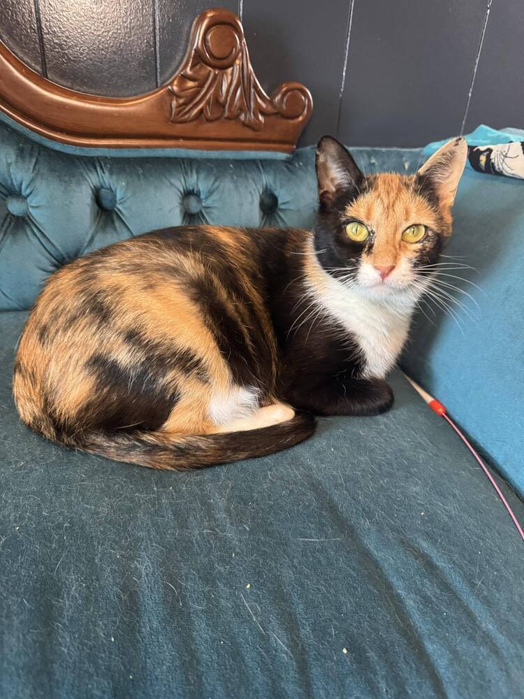 Valentina